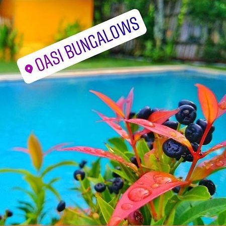 Отель Oasi Bungalows Гили-Эйр Экстерьер фото